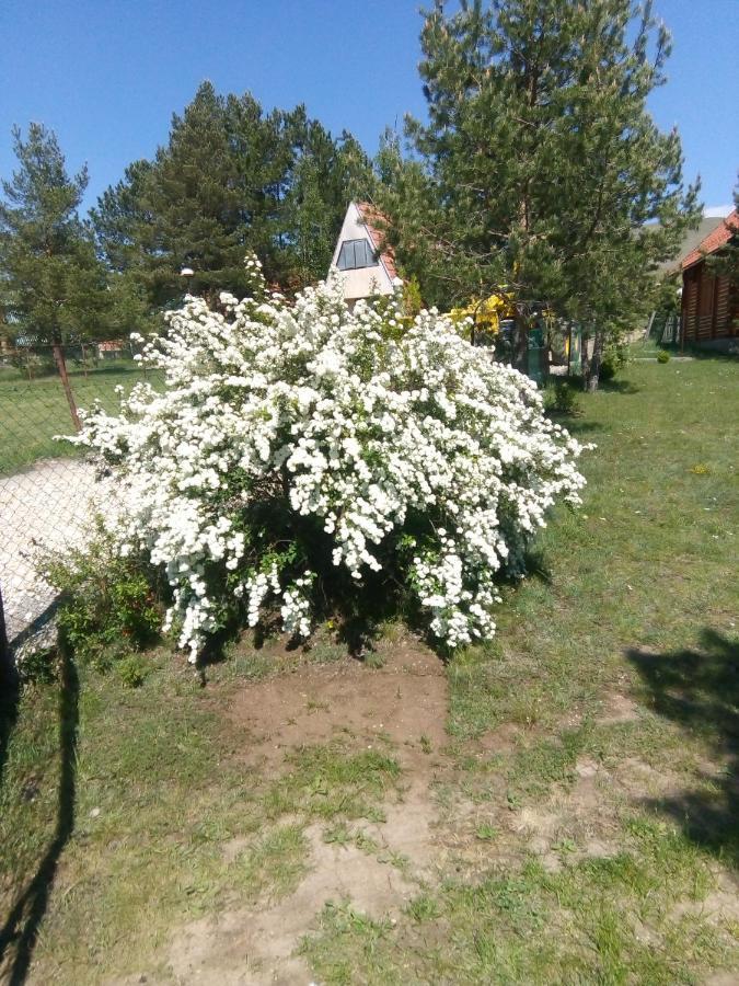 Apartman Marija Zlatibor Esterno foto