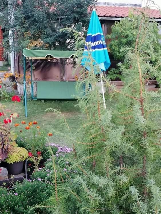 Apartman Marija Zlatibor Esterno foto