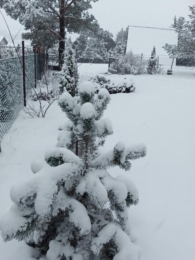 Apartman Marija Zlatibor Esterno foto