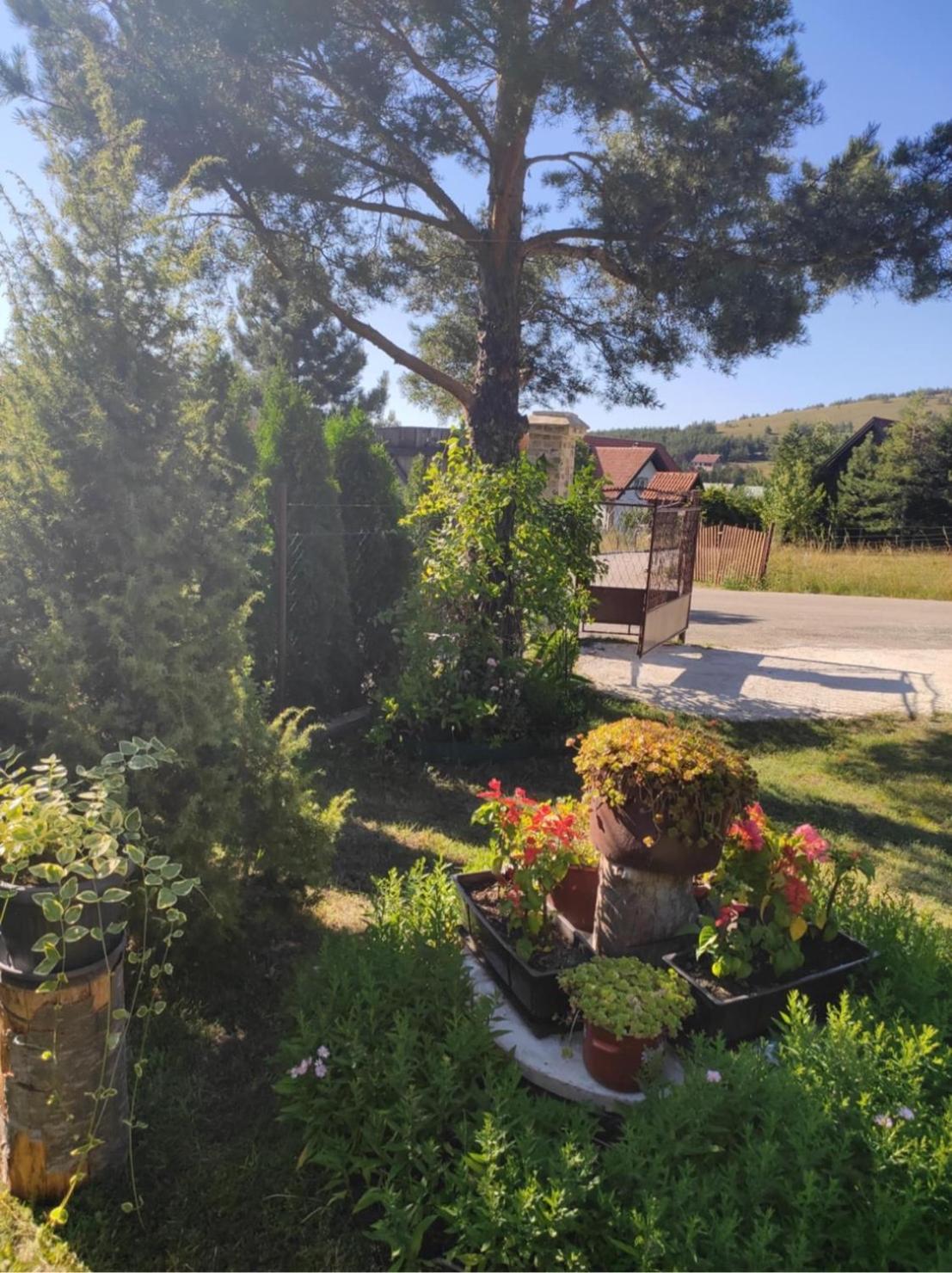 Apartman Marija Zlatibor Esterno foto